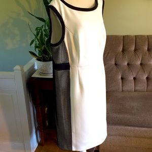 Calvin Klein Sheath Dress🌿 NWOT